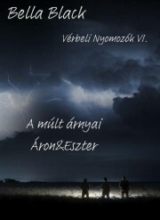 Kniha Vérbeli Nyomozók VI. - Bella Black