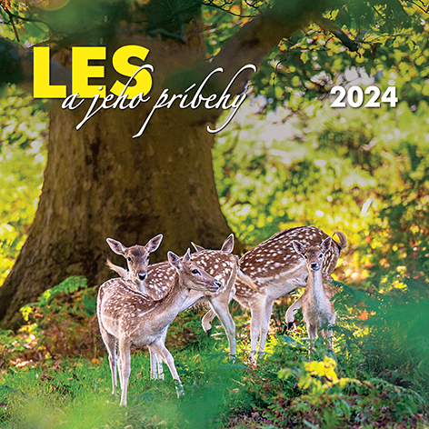 Nástenný kalendár Les a jeho príbehy 2024