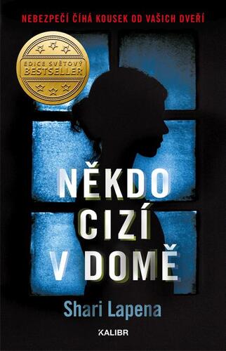 Kniha Někdo cizí v domě - Shari Lapena