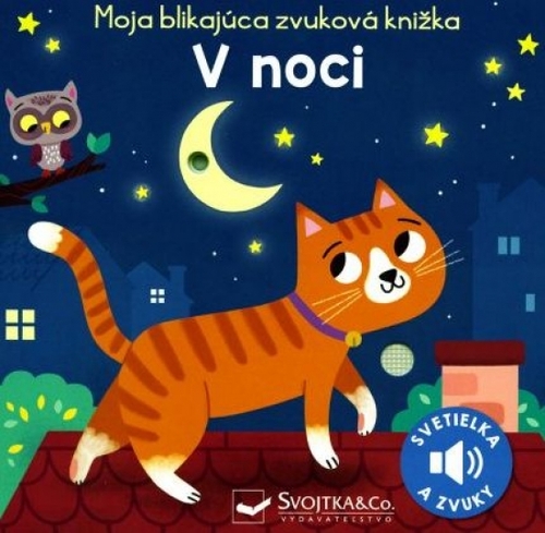 Kniha V noci - Moja blikajúca zvuková knižka