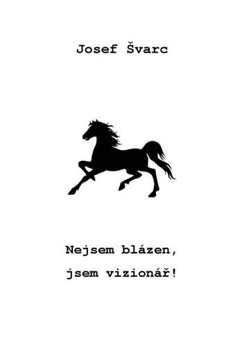 Kniha Nejsem blázen, jsem vizionář! - Josef Švarc