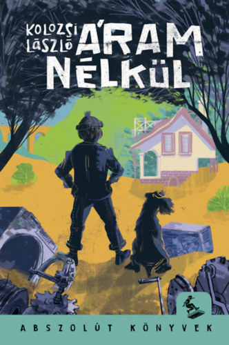 Kniha Áram nélkül - László Kolozsi