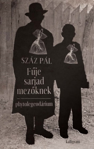 Fűje sarjad mezőknek - Phytolegendárium - Pál Száz