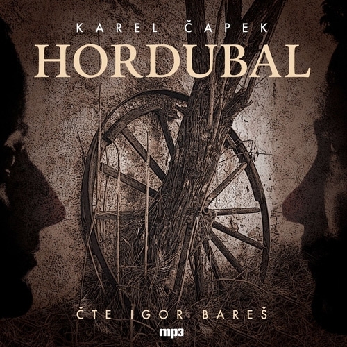 Kniha Radioservis Hordubal