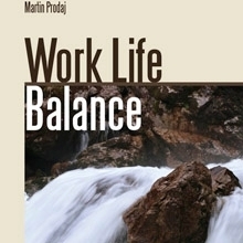 Kniha INSIGHT - PaedDr. Martin Prodaj Work Life Balance-prežite krízu a naučte sa vychutnávať si život