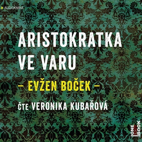 Kniha OneHotBook Aristokratka ve varu