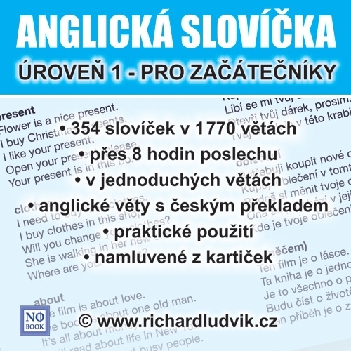 Kniha Ludvík Richard Anglická slovíčka - úroveň 1 pro začátečníky