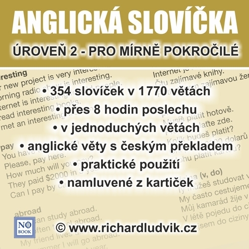 Kniha Ludvík Richard Anglická slovíčka - úroveň 2 pro mírně pokročilé