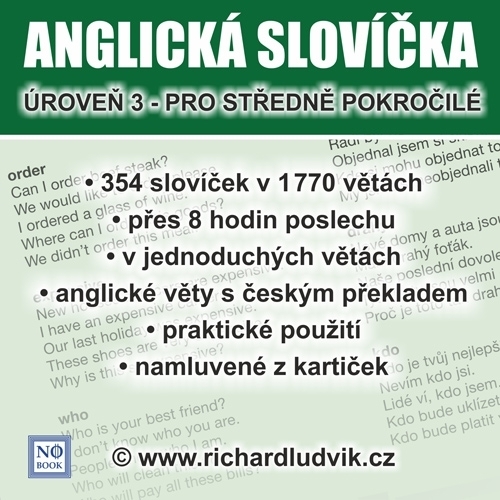 Kniha Ludvík Richard Anglická slovíčka - úroveň 3 pro středně pokročilé