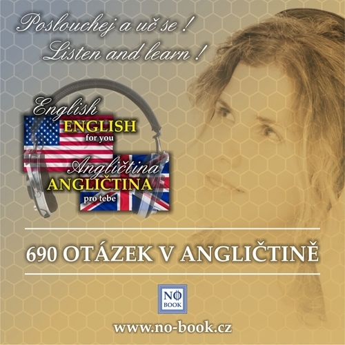 Kniha Ludvík Richard 690 otázek v angličtině - od začátečníků po středně pokročilé