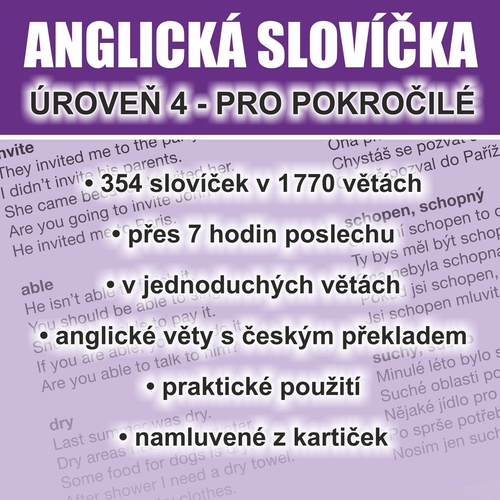 Kniha Ludvík Richard Anglická slovícˇka - úrovenˇ 4 pro pokrocˇilé