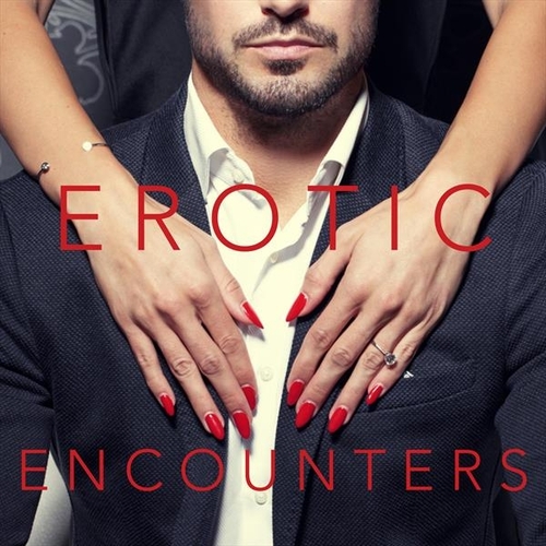 Kniha Lark Audiobooks Erotic Encounters (EN)