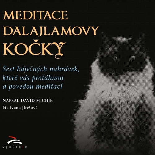Kniha Synergie Meditace dalajlamovy kočky