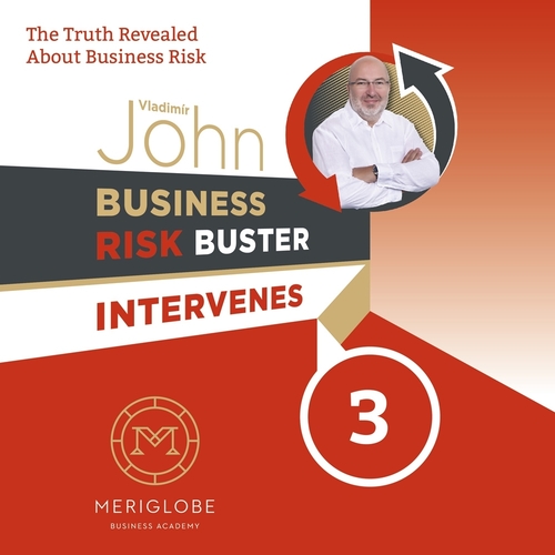 Meriglobe Advisory House Business Risk Buster Intervenes 3