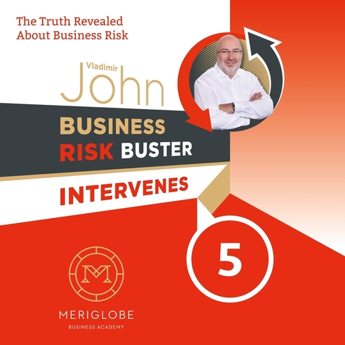 Meriglobe Advisory House Business Risk Buster Intervenes 5