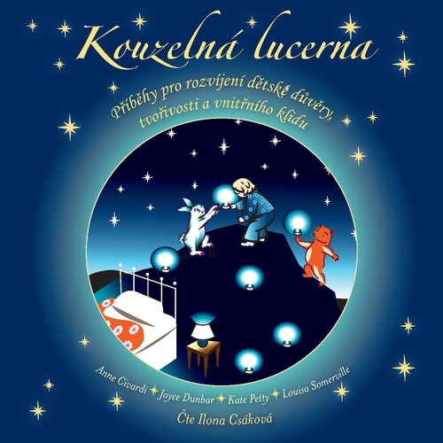 Kniha Synergie Kouzelná lucerna