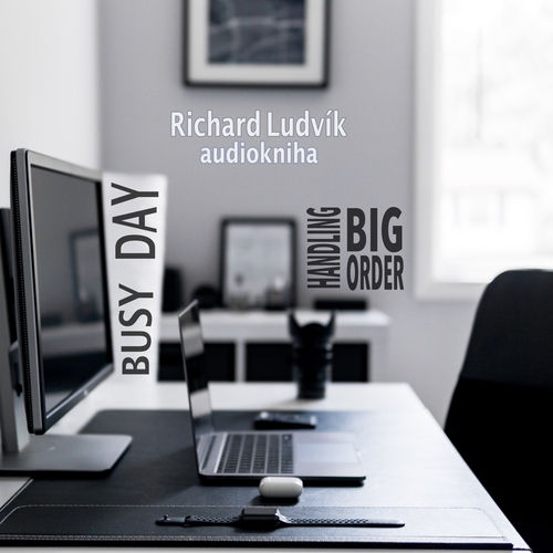 Kniha Ludvík Richard Busy Day - Handling Big Order