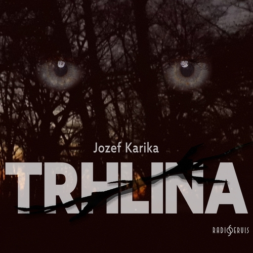 Radioservis Trhlina