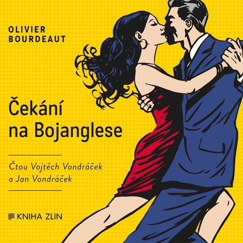 Kniha Kniha Zlín Čekání na Bojanglese