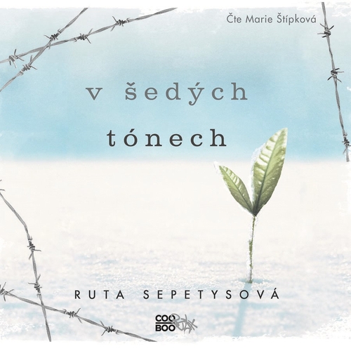 Kniha CooBoo V šedých tónech