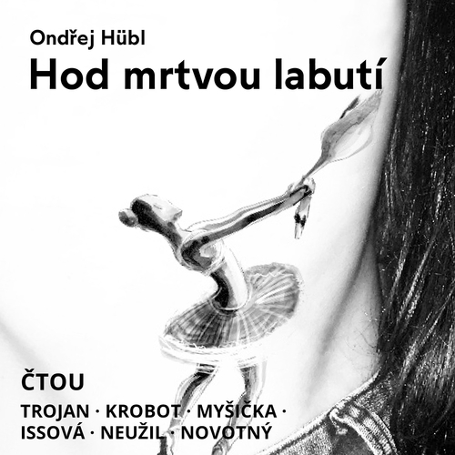 Kniha Audioberg Hod mrtvou labutí