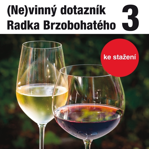 (Ne)vinný dotazník Radka Brzobohatého 3.