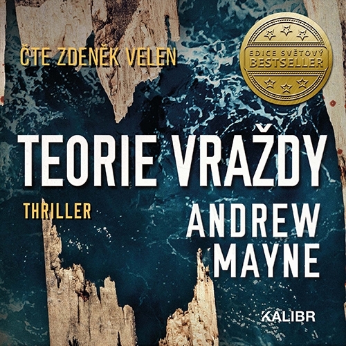 Euromedia Group, a.s Teorie vraždy