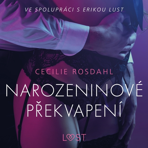 Kniha Saga Egmont Narozeninové překvapení - Erotická povídka