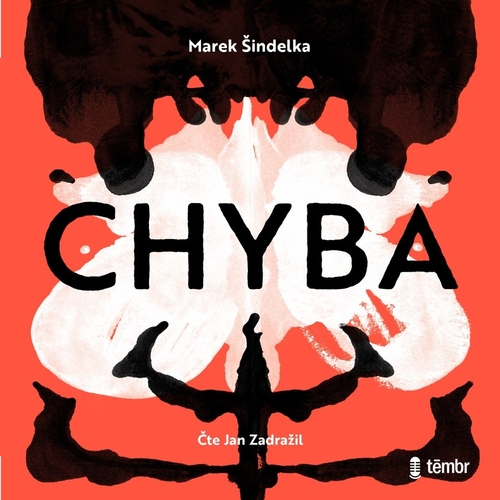 Kniha Témbr Chyba