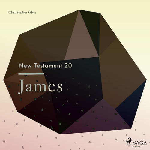 Kniha Saga Egmont The New Testament 20 - James (EN)