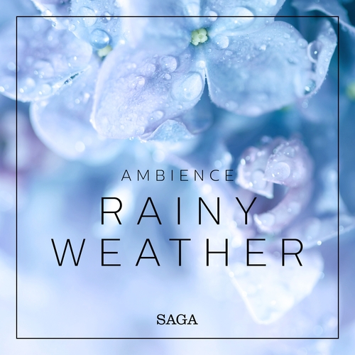 Kniha Saga Egmont Ambience - Rainy Weather (EN)