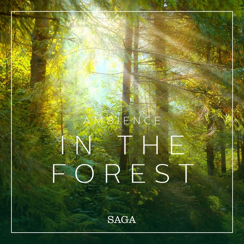 Saga Egmont Ambience - In the Forest (EN)