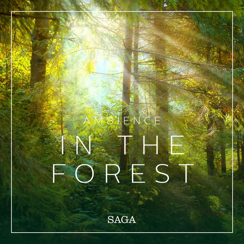 Kniha Saga Egmont Ambience - In the Forest (EN)