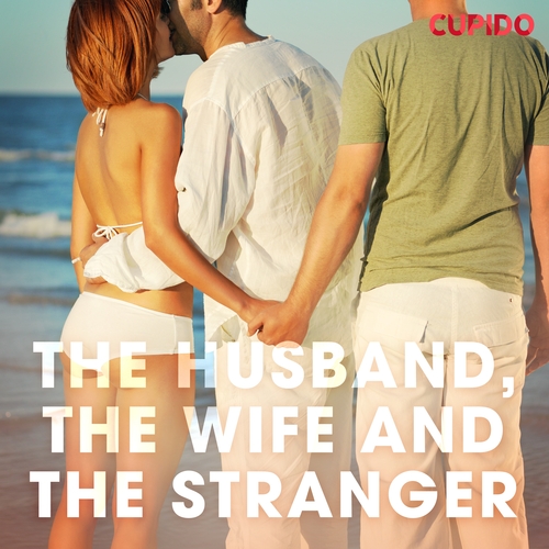 Kniha Saga Egmont The Husband, the Wife and the Stranger (EN)