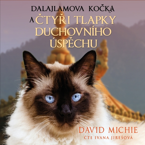 Kniha Synergie Dalajlamova kočka a čtyři tlapky duchovního úspěchu