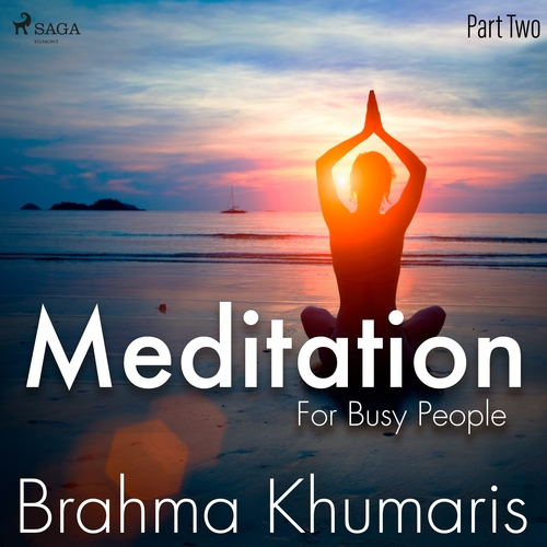 Kniha Saga Egmont Meditation For Busy People - Part Two (EN)
