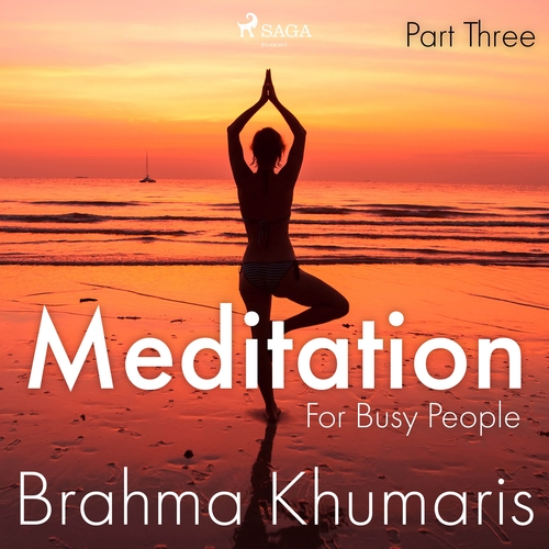 Kniha Saga Egmont Meditation For Busy People – Part Three (EN)