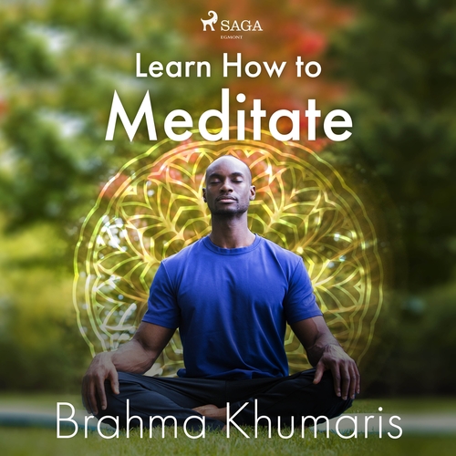 Kniha Saga Egmont Learn How to Meditate (EN)
