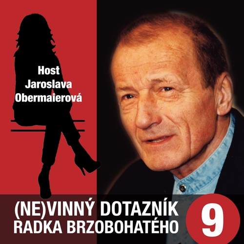 (Ne)vinný dotazník Radka Brzobohatého 9.
