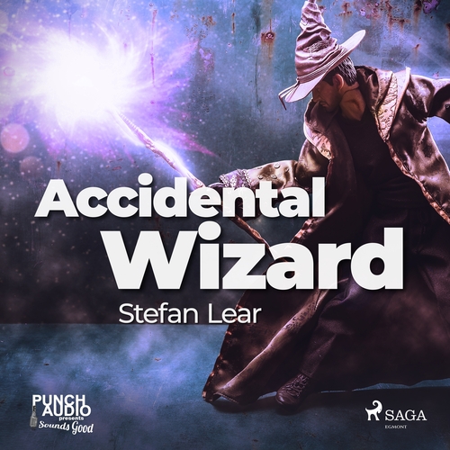 Kniha Saga Egmont Accidental Wizard (EN)