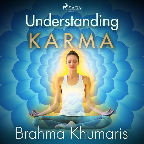 Kniha Saga Egmont Understanding Karma (EN)
