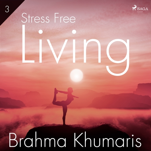 Kniha Saga Egmont Stress Free Living 3 (EN)