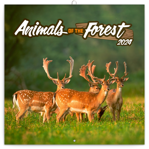 Presco Group Poznámkový kalendár Zvieratká z lesa 2024, 30 × 30 cm