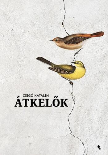 Kniha Átkelők - Katalin Csigó