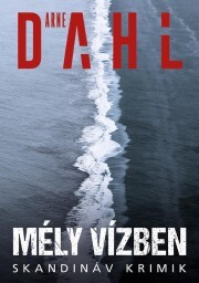 Mély vízben - Arne Dahl