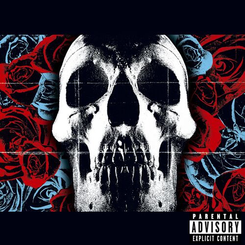 Kniha Deftones - Deftones (Red) LP