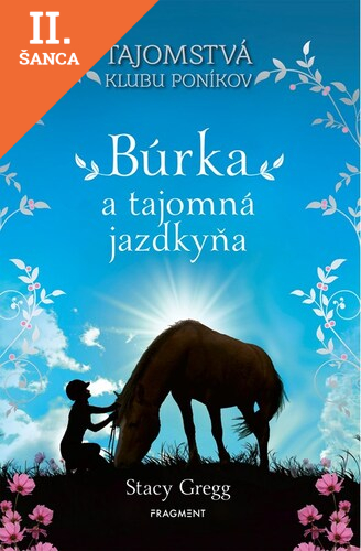 Lacná kniha Tajomstvá klubu poníkov 3: Búrka a tajomná jazdkyňa