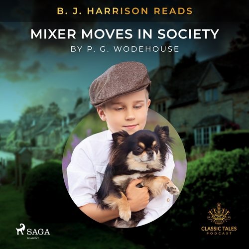Kniha Saga Egmont B. J. Harrison Reads Mixer Moves in Society (EN)