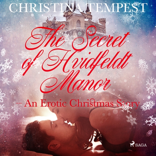 Kniha Saga Egmont The Secret of Hvidfeldt Manor - An Erotic Christmas Story (EN)