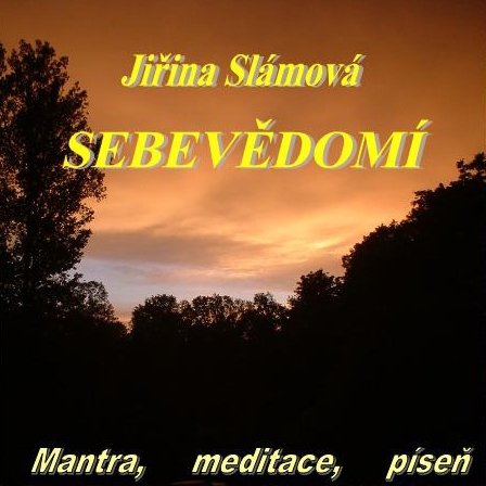 Sebevědomí